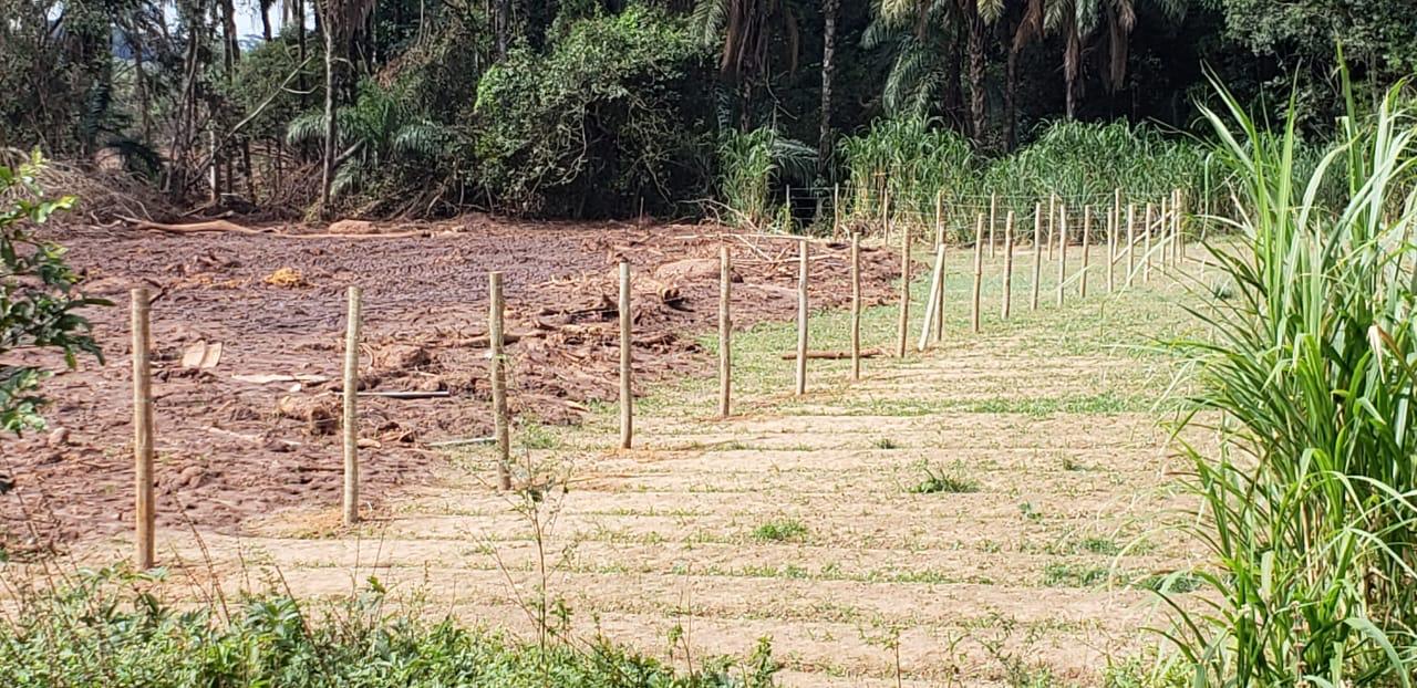 psicologa de jundiai da apoio emocional a familias de vitimas em brumadinho 4